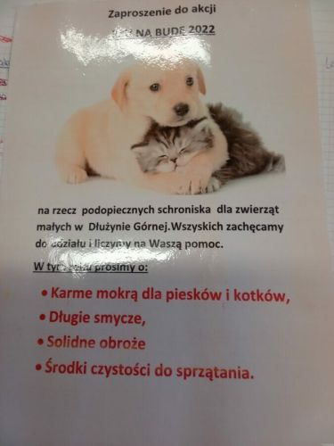 Plakat - zbi&oacute;rka karmy na rzecz schroniska w Dłużynie G&oacute;rnej